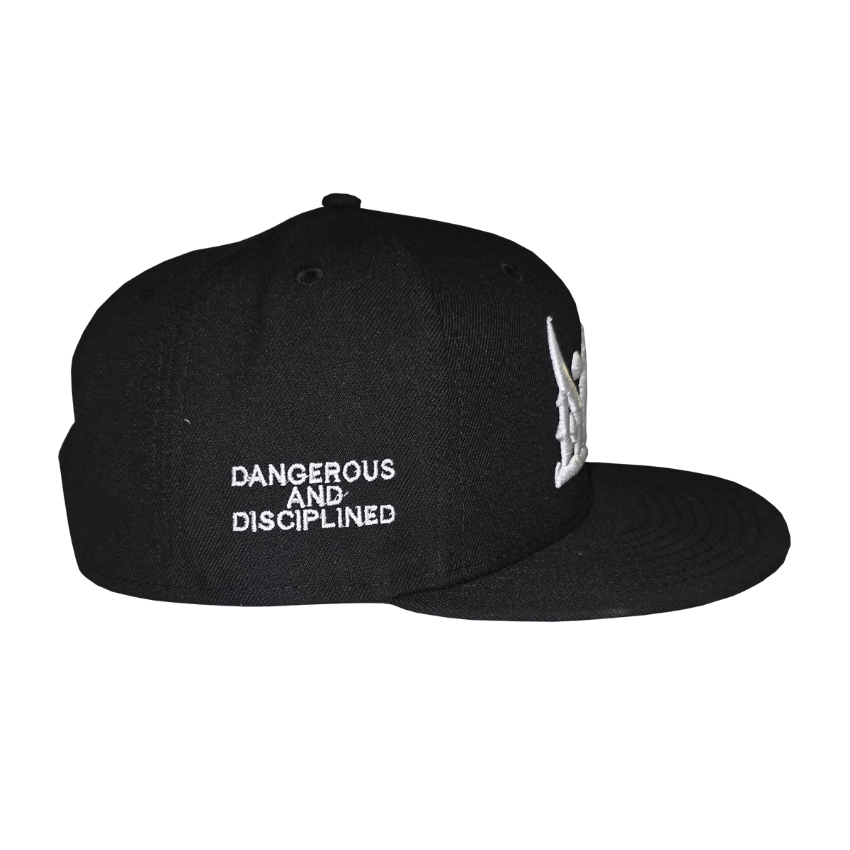 Dangerous And Disciplined DAD Calligraphy style Hat