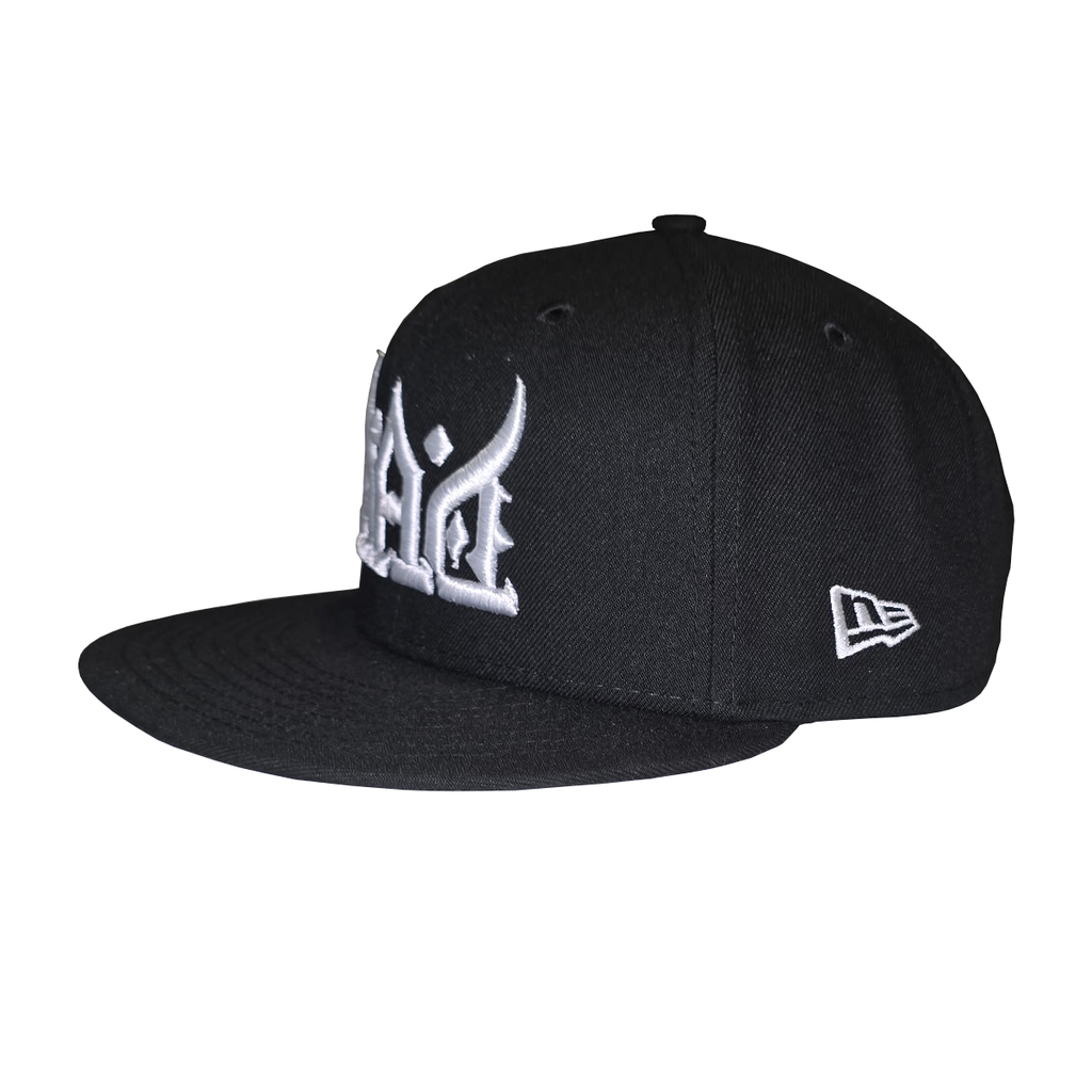 Dangerous And Disciplined DAD Calligraphy style Hat